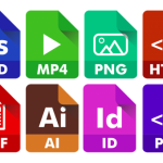 Digital-Asset-Management