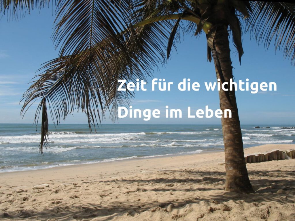 Palme am Strand