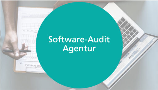 Beitragsbild mit Text Software-Audit Agentur